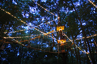 Lights are strung throughout aerial trails, providing the perfect atmosphere for night climbing fun. (Photo by Robbie Hickman.)