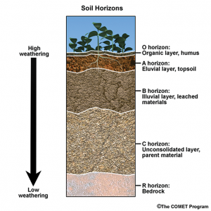 Soil Horizon