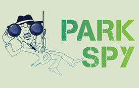 Park Spy